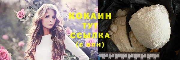 молекула духа Пестово