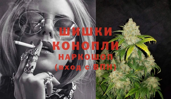 молекула духа Пестово