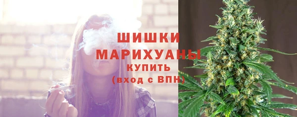 молекула духа Пестово