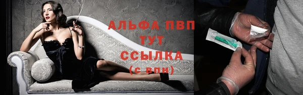 молекула духа Пестово