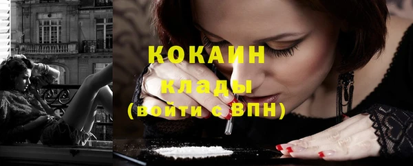 молекула духа Пестово