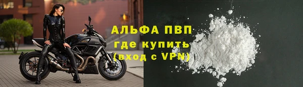 молекула духа Пестово