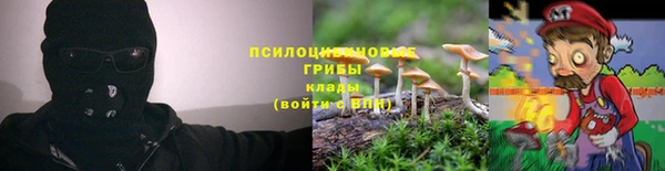 тгк Ельня