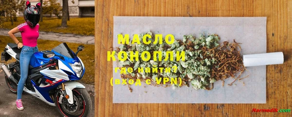 молекула духа Пестово