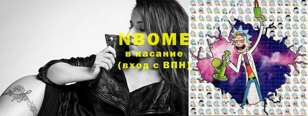 молекула духа Пестово