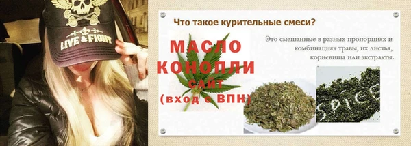 молекула духа Пестово