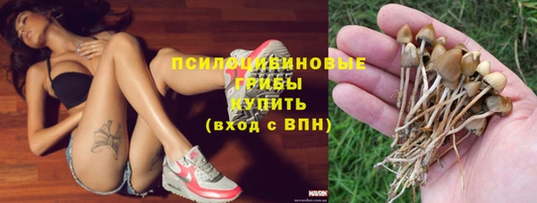 молекула духа Пестово
