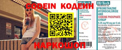 хмурый Абакан