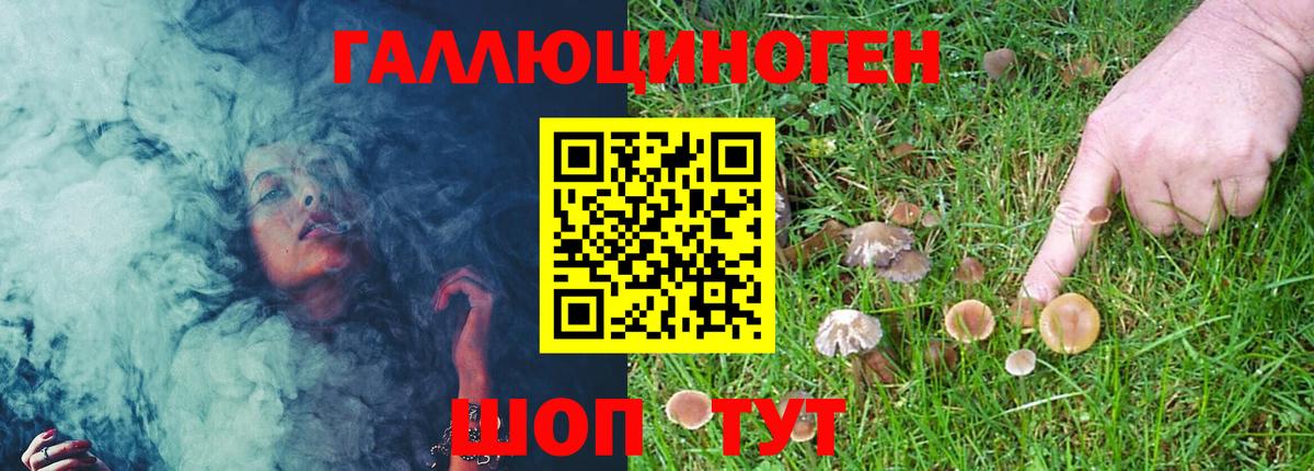 Славянск-на-Кубани  Галлюциногенные грибы GOLDEN TEACHER  Вход с VPN 